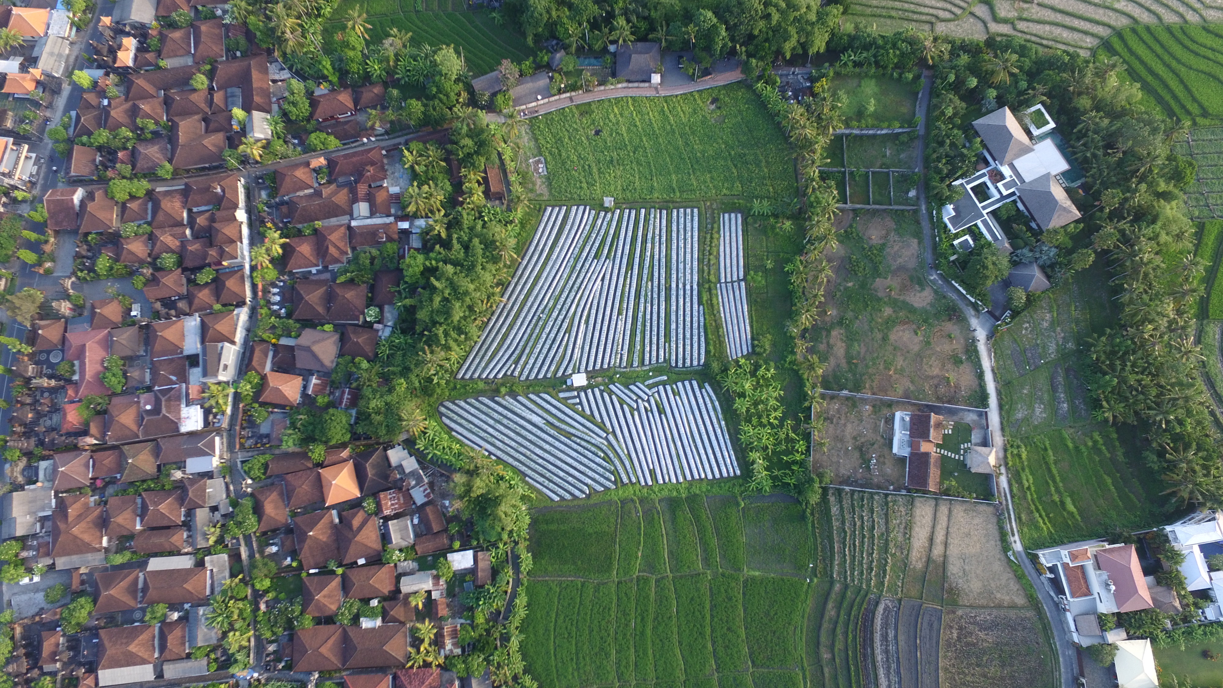lease-hold-land-canggu-70-ara